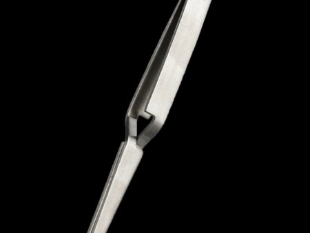 Bear Quartz Reverse Tweezers Online now