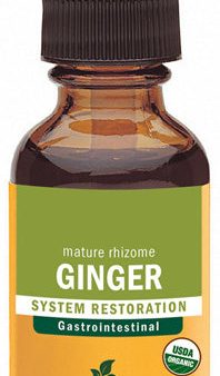 HERB PHARM - Ginger Extract for Digestive Support - 1 fl. oz. (29.6 ml) Online now